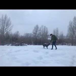 Meet your Posher, Tucker